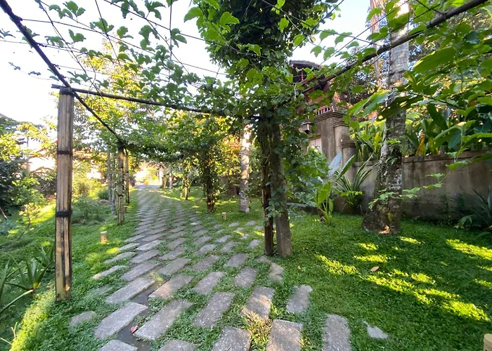 Country Side Northern Ubud